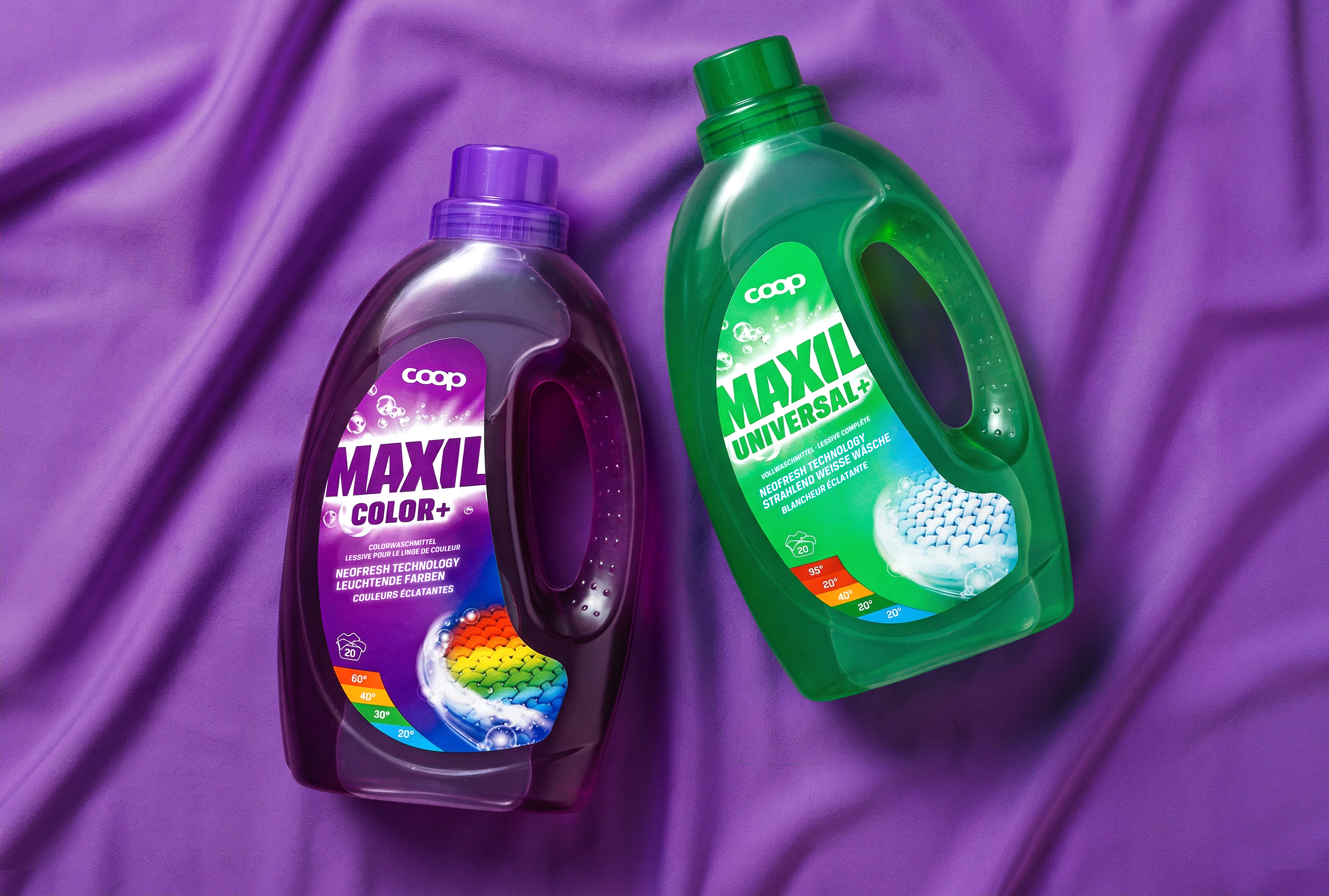 Cover-Bild Projekt Maxil